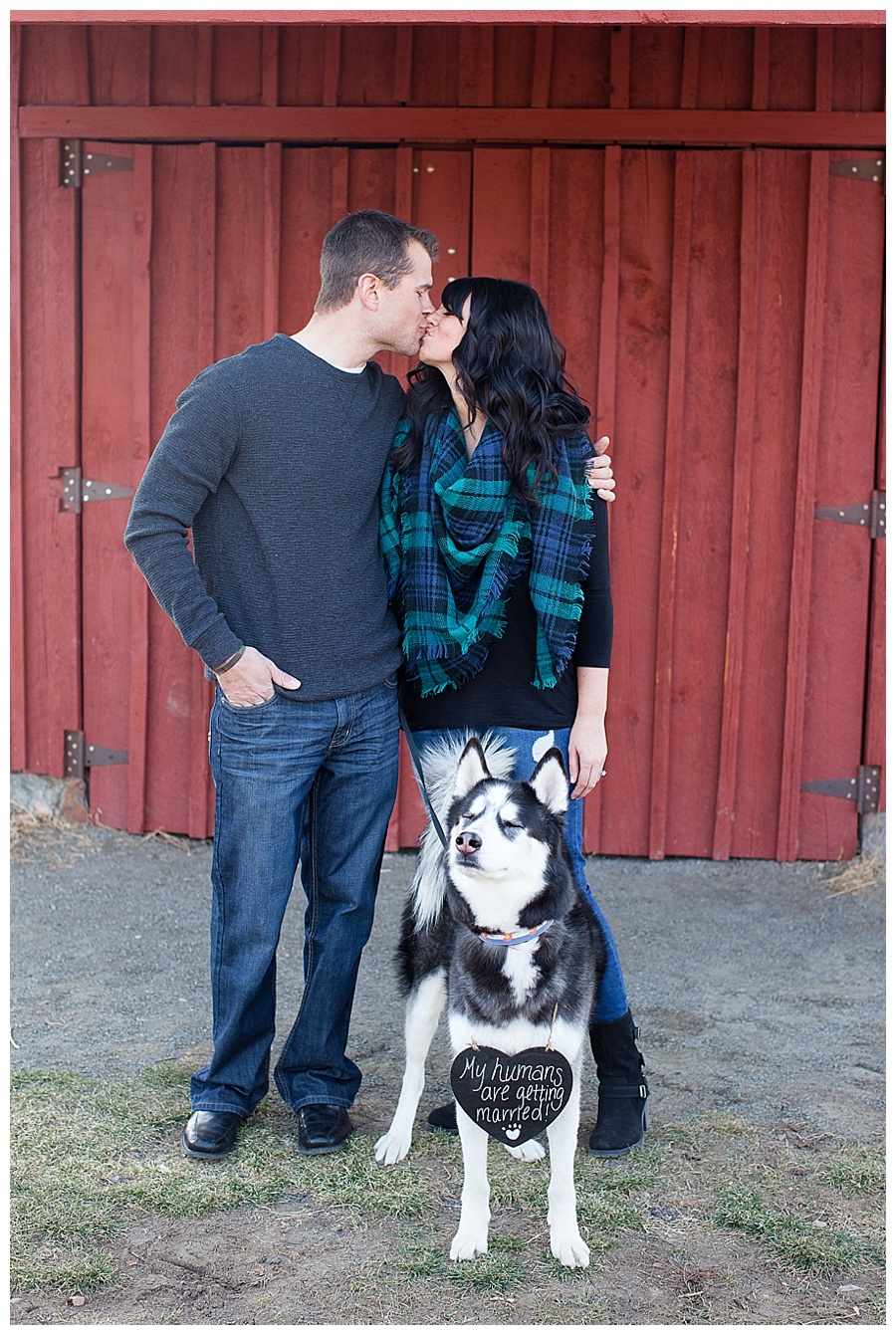 02 Cute engagement photos with dog