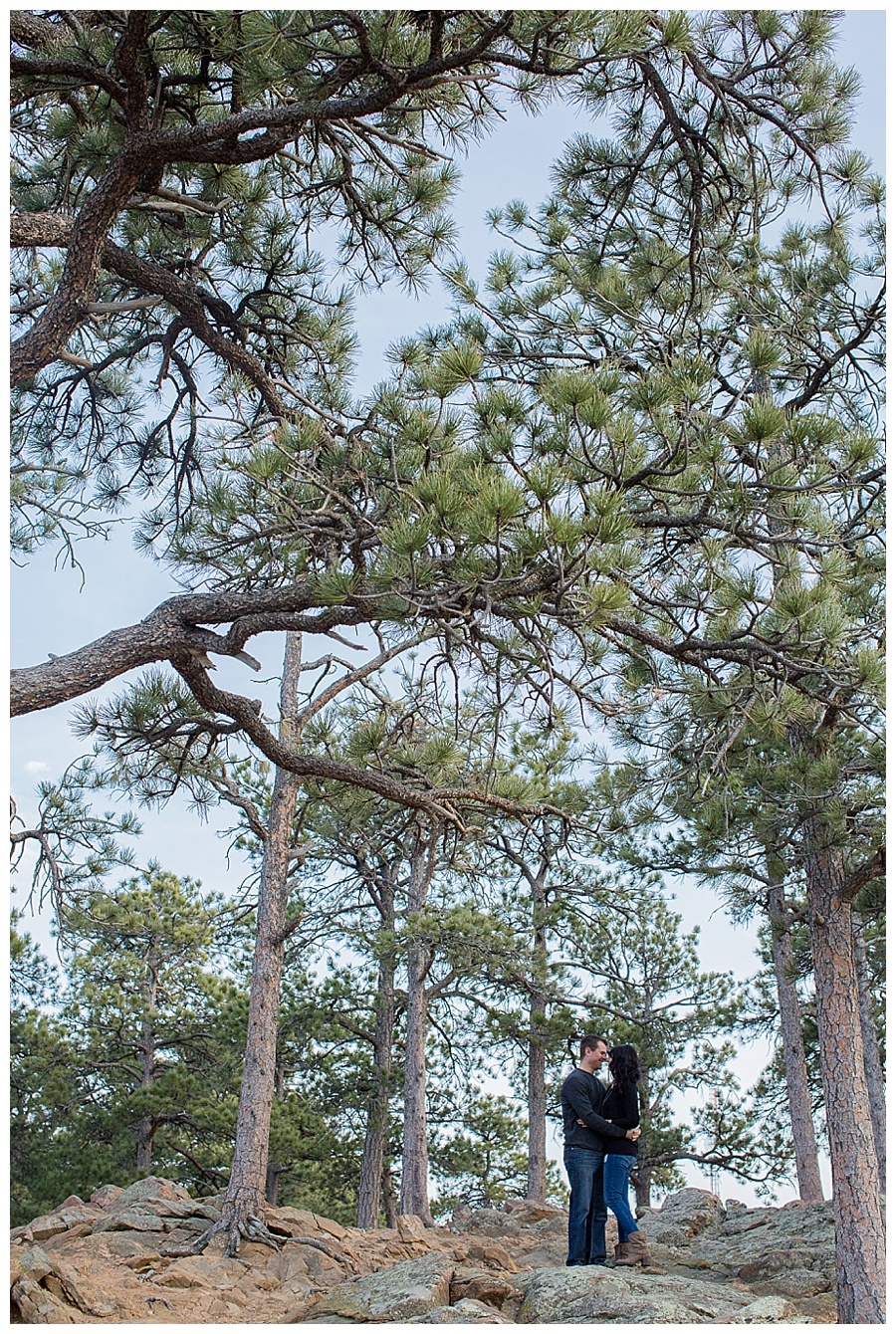 12 Lookout Mountain engagement photos in the trees