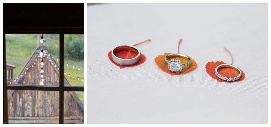 27 Wedding Rings on Aspen leaves in Telluride