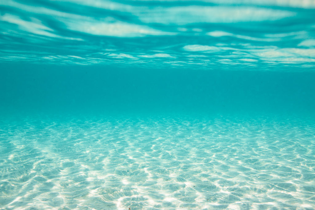 Underwater photography in the ocean.